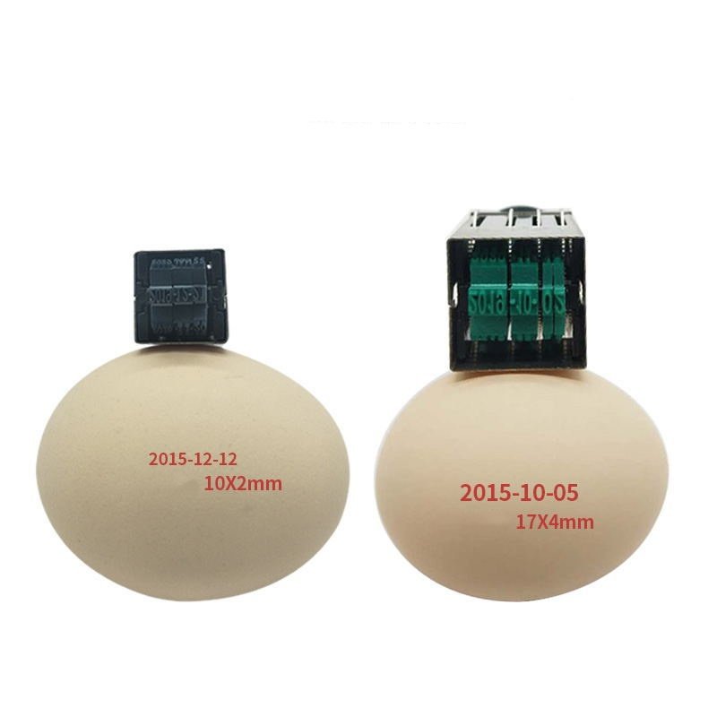 Fun Egg-shaped Date Stamp - Manual Rubber Stamp for Kids DIY & Egg Identification - Mobarnstamp - Image 3